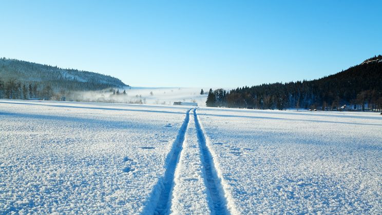 Snow path